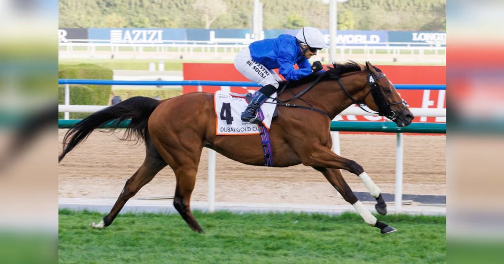 Bin Suroor eyes golden double in Meydan’s ultimate staying test, with evergreen Dubai Future