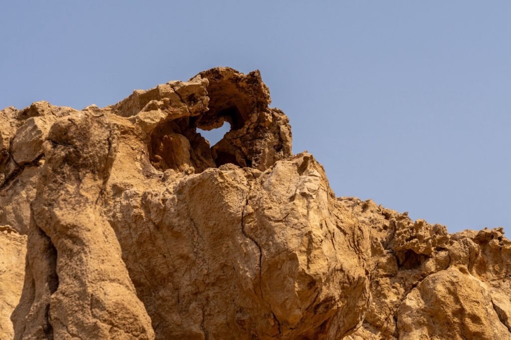 Faya Research Grant Programme attracts global institutions, advances Sharjah’s archaeological leadership